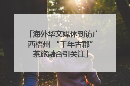 海外华文媒体到访广西梧州 “千年古郡”茶旅融合引关注