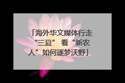 海外华文媒体行走“三夏” 看“新农人”如何逐梦沃野