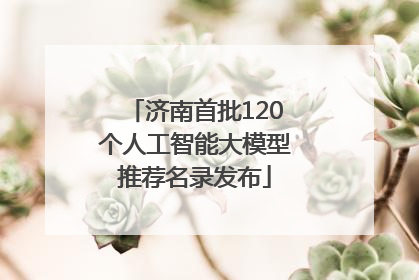 济南首批120个人工智能大模型推荐名录发布