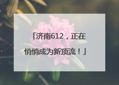 济南612，正在悄悄成为新顶流！