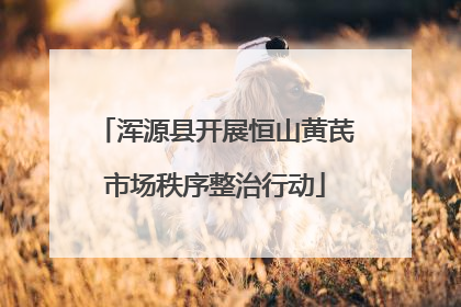 浑源县开展恒山黄芪市场秩序整治行动
