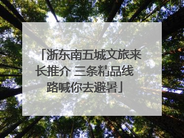 浙东南五城文旅来长推介 三条精品线路喊你去避暑