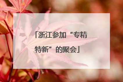 浙江参加“专精特新”的聚会