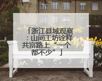 浙江县域观察：山间工坊诠释共富路上“一个都不少”