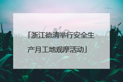 浙江德清举行安全生产月工地观摩活动