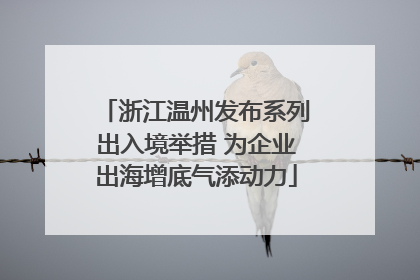 浙江温州发布系列出入境举措 为企业出海增底气添动力