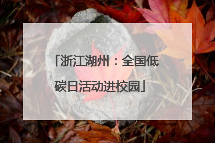 浙江湖州：全国低碳日活动进校园