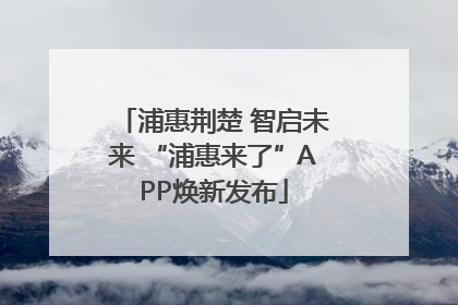 浦惠荆楚 智启未来 “浦惠来了”APP焕新发布