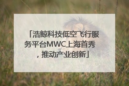 浩鲸科技低空飞行服务平台MWC上海首秀，推动产业创新