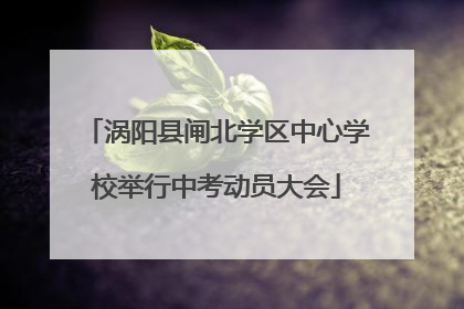 涡阳县闸北学区中心学校举行中考动员大会