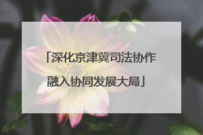 深化京津冀司法协作 融入协同发展大局