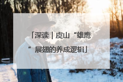深读｜虞山“雄鹰”展翅的养成逻辑