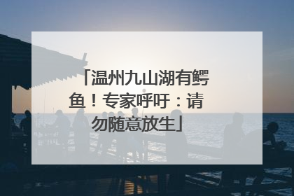 温州九山湖有鳄鱼！专家呼吁：请勿随意放生