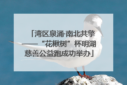 湾区泉涌·南北共擎——“花楸树”杯明湖慈善公益跑成功举办