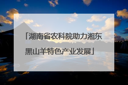 湖南省农科院助力湘东黑山羊特色产业发展