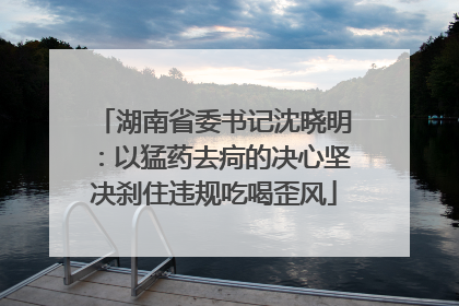 湖南省委书记沈晓明：以猛药去疴的决心坚决刹住违规吃喝歪风