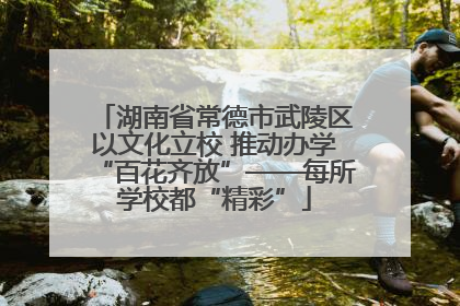 湖南省常德市武陵区以文化立校 推动办学“百花齐放”——每所学校都“精彩”