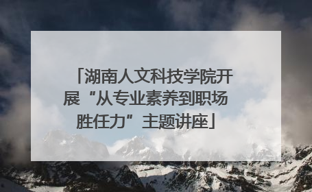 湖南人文科技学院开展“从专业素养到职场胜任力”主题讲座
