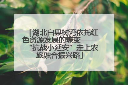 湖北白果树湾依托红色资源发展的蝶变——“抗战小延安”走上农旅融合振兴路