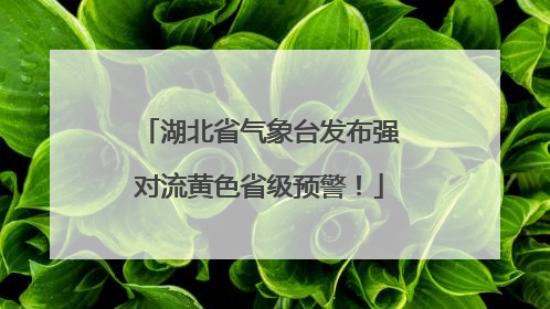 湖北省气象台发布强对流黄色省级预警！