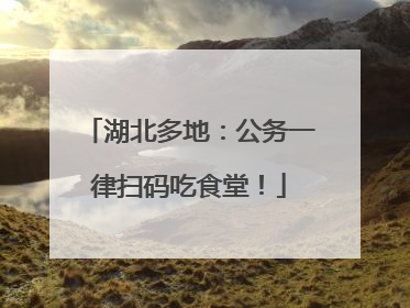 湖北多地：公务一律扫码吃食堂！