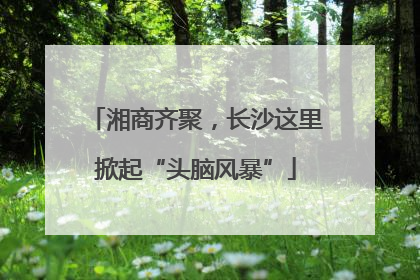 湘商齐聚，长沙这里掀起“头脑风暴”