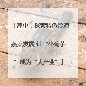 湟中：探索特色冷凉蔬菜发展 让“小菊芋”成为“大产业”