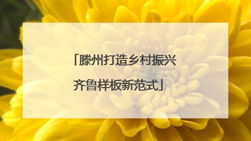 滕州打造乡村振兴齐鲁样板新范式