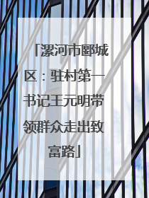 漯河市郾城区：驻村第一书记王元明带领群众走出致富路