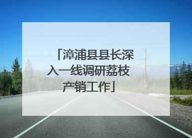漳浦县县长深入一线调研荔枝产销工作