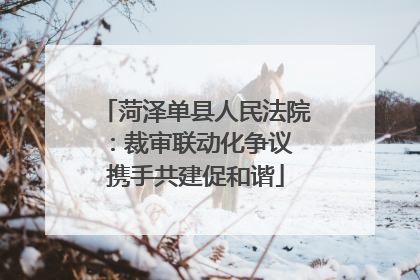 菏泽单县人民法院：裁审联动化争议 携手共建促和谐