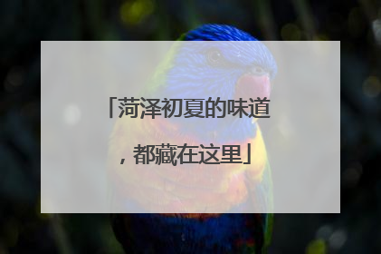 菏泽初夏的味道，都藏在这里