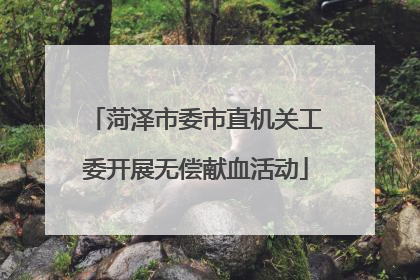 菏泽市委市直机关工委开展无偿献血活动