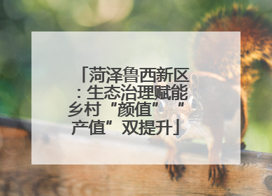 菏泽鲁西新区：生态治理赋能乡村“颜值”“产值”双提升