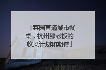 菜园直通城市餐桌，杭州邵老板的收菜计划和期待