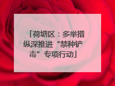 荷塘区：多举措纵深推进“禁种铲毒”专项行动