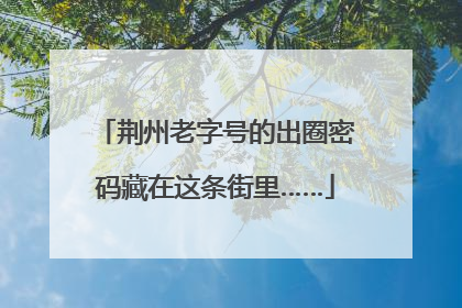 荆州老字号的出圈密码藏在这条街里……