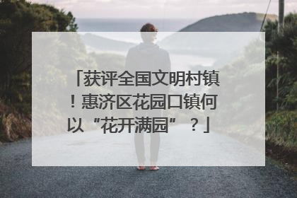 获评全国文明村镇！惠济区花园口镇何以“花开满园”？