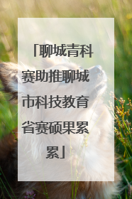 聊城青科赛助推聊城市科技教育省赛硕果累累