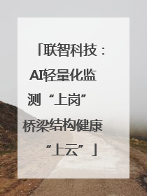 联智科技：AI轻量化监测“上岗” 桥梁结构健康“上云”