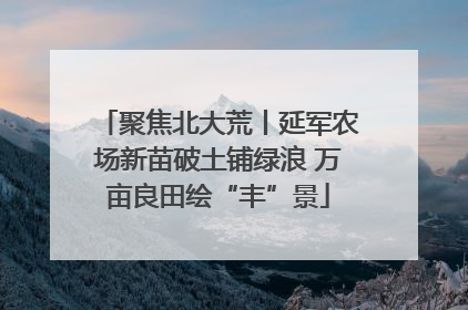 聚焦北大荒丨延军农场新苗破土铺绿浪 万亩良田绘“丰”景