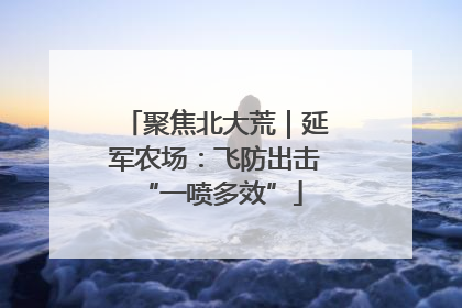 聚焦北大荒｜延军农场：飞防出击 “一喷多效”