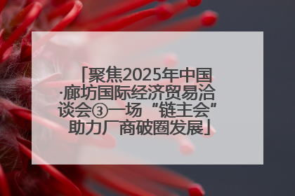 聚焦2025年中国·廊坊国际经济贸易洽谈会③一场“链主会” 助力厂商破圈发展