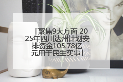聚焦9大方面 2025年四川达州计划安排资金105.78亿元用于民生实事