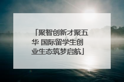 聚智创新才聚五华 国际留学生创业生态筑梦启航
