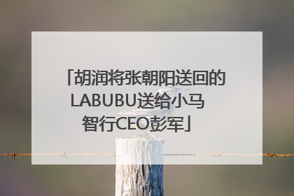 胡润将张朝阳送回的LABUBU送给小马智行CEO彭军