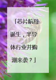 芯片航母诞生，半导体行业并购潮来袭？