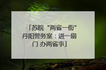 苏皖“两省一街”丹阳警务室：进一扇门 办两省事