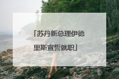 苏丹新总理伊德里斯宣誓就职