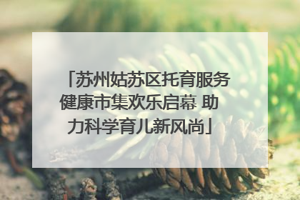 苏州姑苏区托育服务健康市集欢乐启幕 助力科学育儿新风尚